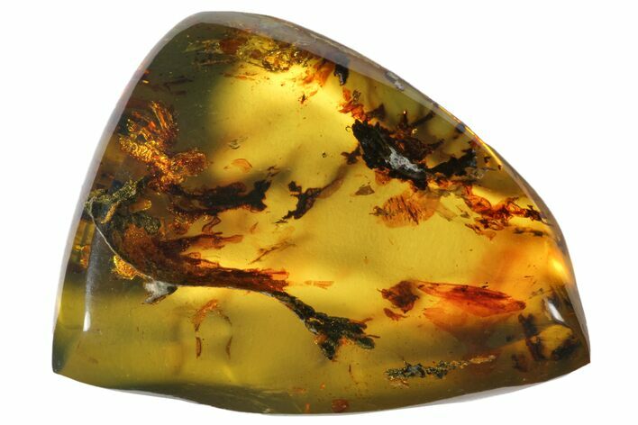 Polished Chiapas Amber ( g) - Mexico #114869